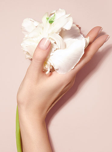 Hand hält weiße Blume 